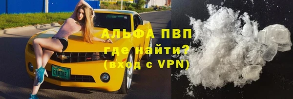 СК Абинск