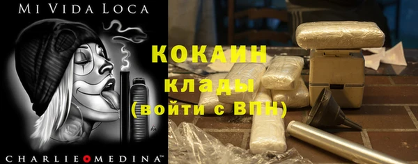 стаф Алзамай