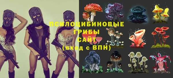 не бодяженный Алексин