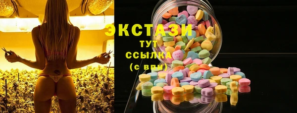 стаф Алзамай